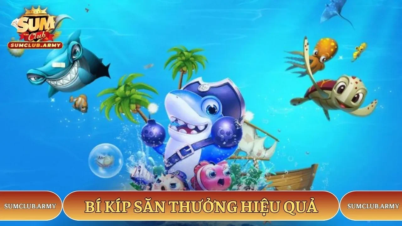 Bí kíp săn thưởng hiệu quả tại Sumclub Bí kíp săn thưởng hiệu quả tại Sumclub