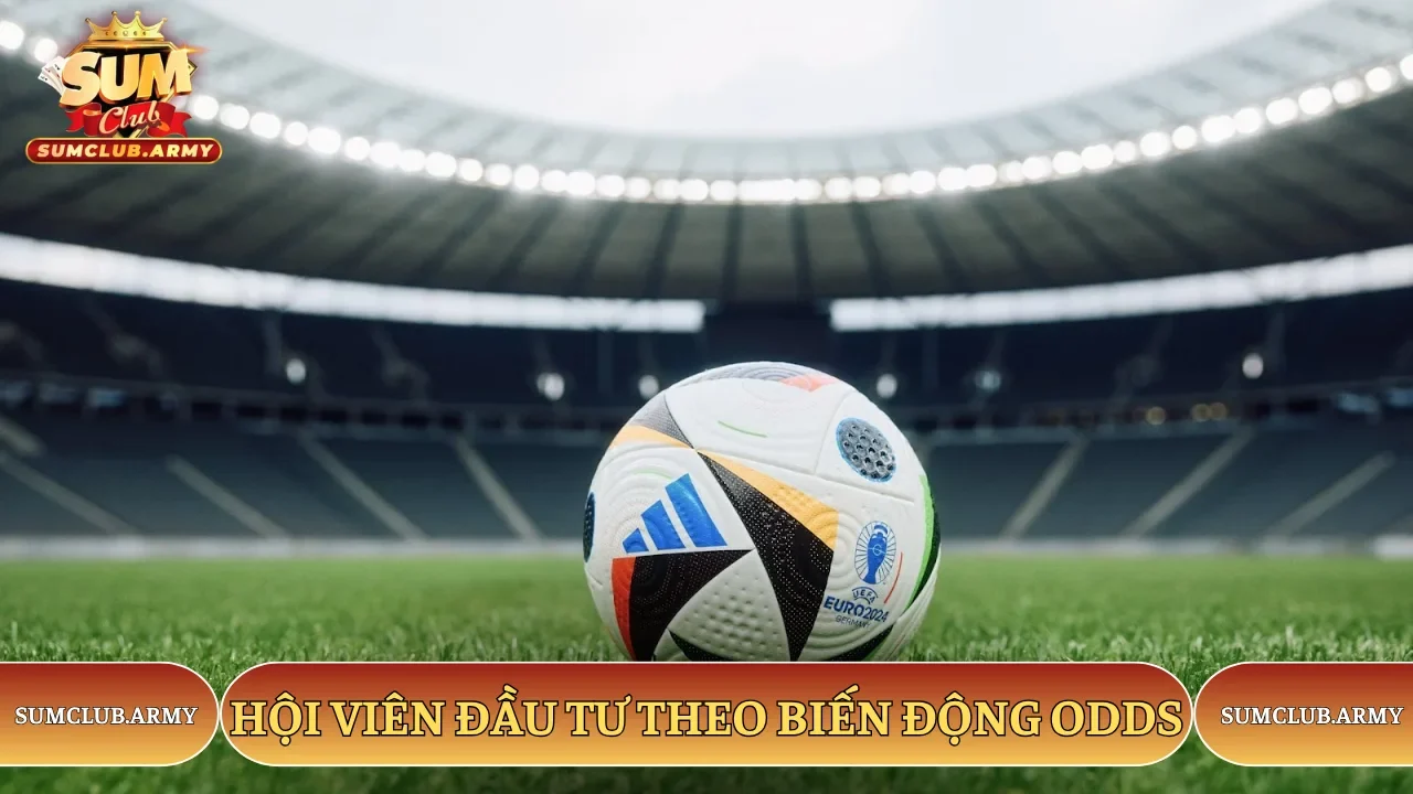 Hội viên đầu tư theo biến động odds Hội viên đầu tư theo biến động odds