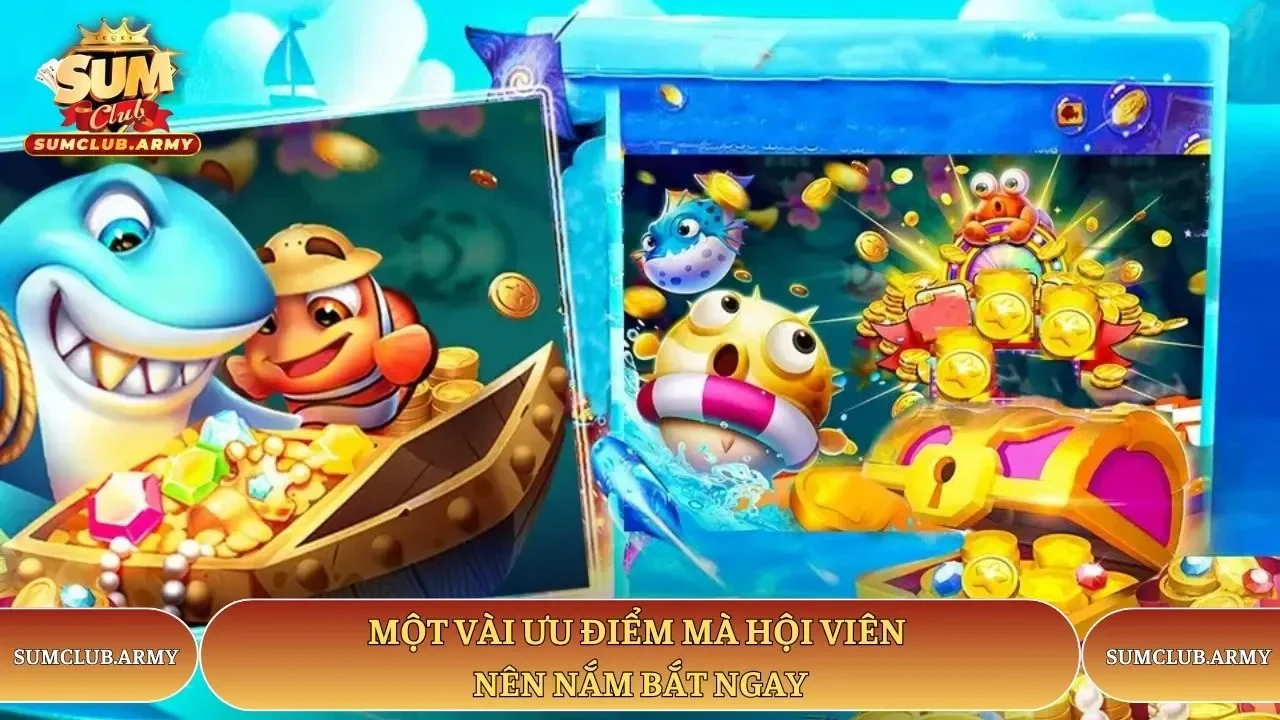 Một vài ưu điểm mà hội viên Sumclub nên nắm bắt ngay Một vài ưu điểm mà hội viên Sumclub nên nắm bắt ngay