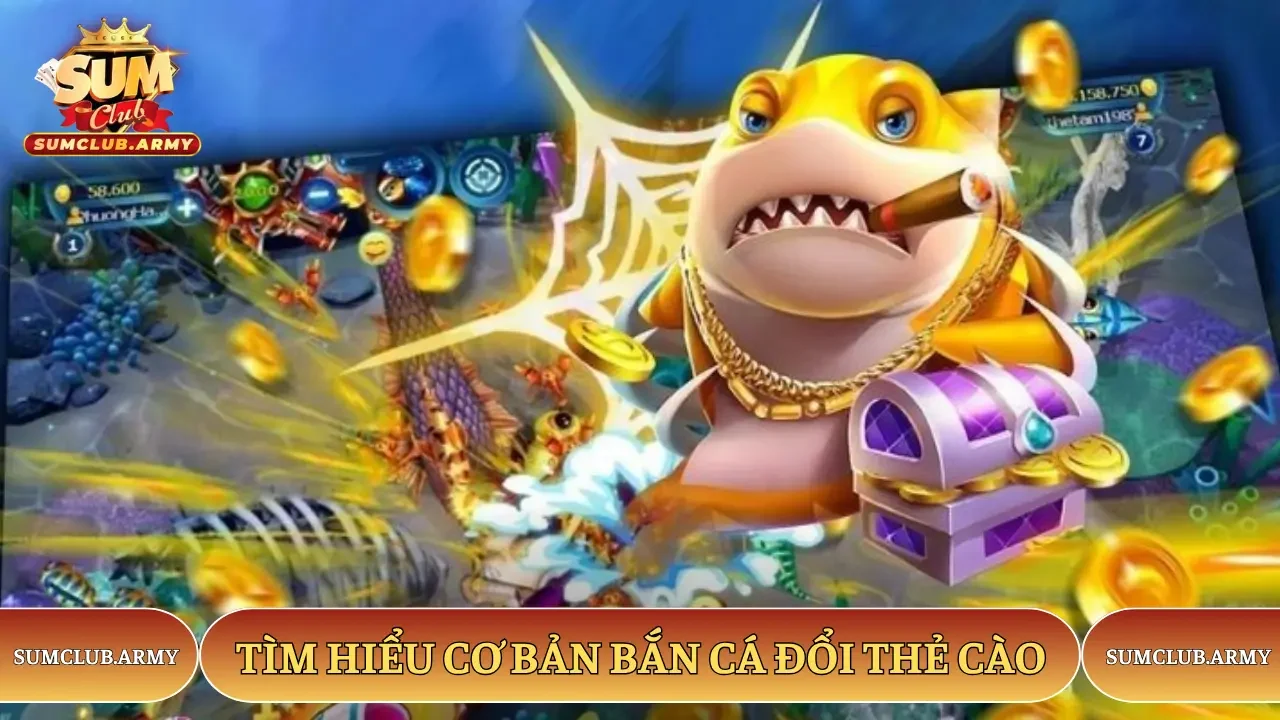 Tìm hiểu Sumclub cơ bản bắn cá đổi thẻ cào