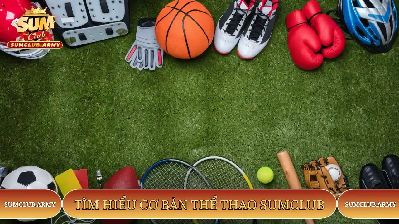 Tìm hiểu cơ bản Thể thao Sumclub Tìm hiểu cơ bản Thể thao Sumclub